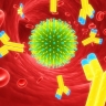 système immunitaire